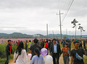 고령콫페스티벌,지역축제,축제정보