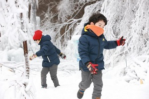 대둔산 수락계곡 얼음축제,국내여행,음식정보