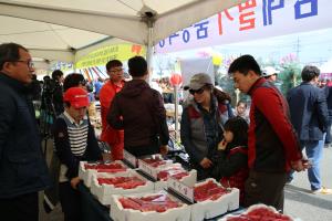 완주삼례딸기축제,전라북도 완주군,지역축제,축제정보