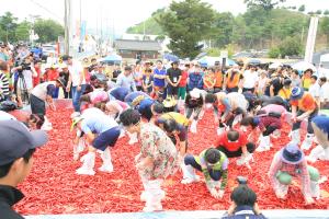 괴산고추축제,국내여행,음식정보