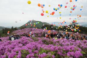 장흥제암산철쭉제,전라남도 장흥군,지역축제,축제정보