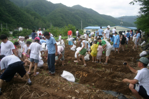 수주계곡축제,국내여행,음식정보