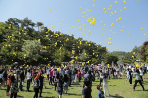 화순운주문화축제,전라남도 화순군,지역축제,축제정보