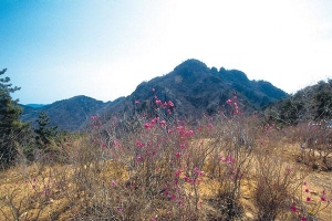 산방산삼월삼짇날축제,경상남도 거제시,지역축제,축제정보