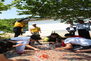 명지리 앵두사랑 앵두축제,강원도 양양군,지역축제,축제정보