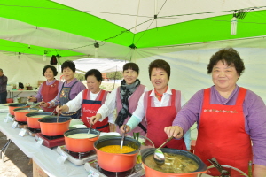 정선토속음식축제,강원도 정선군,지역축제,축제정보