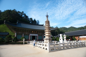 월정사 야외음악회,강원도 평창군,지역축제,축제정보