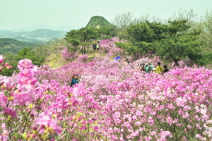 가현산 진달래축제,경기도 김포시,지역축제,축제정보