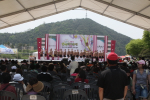 한국과자축제,경상북도 봉화군,지역축제,축제정보