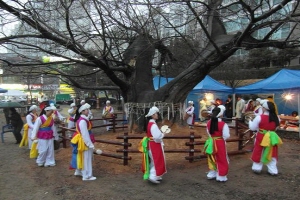 풍암골 신암마을 당산제,광주광역시 서구,지역축제,축제정보