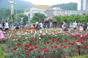 장미꽃 필(feel) 무렵,국내여행,음식정보