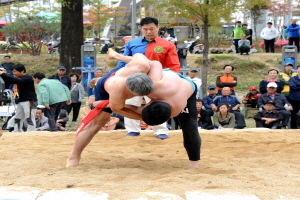 증평인삼씨름대회,충청북도 증평군,지역축제,축제정보