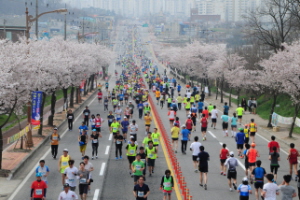 예산윤봉길전국마라톤대회,충청남도 예산군,지역축제,축제정보