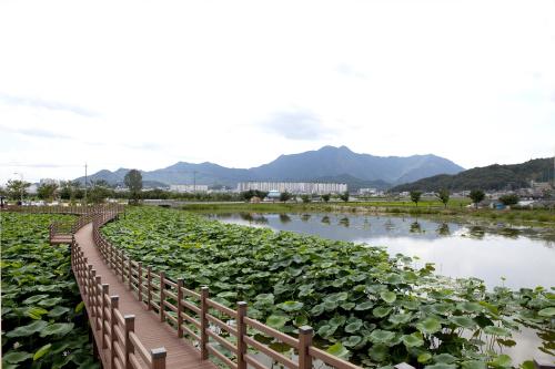 지산샛강 생태문화 축제,경상북도 구미시,지역축제,축제정보