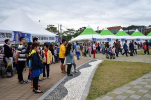 제천국제한방바이오산업엑스포,충청북도 제천시,지역축제,축제정보