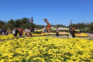 드림파크 국화축제,인천광역시 서구,지역축제,축제정보