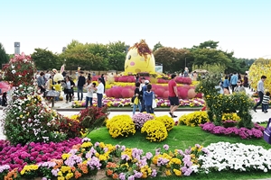 고양가을꽃축제,국내여행,음식정보