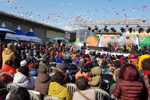 지리산산청곶감축제,경상남도 산청군,지역축제,축제정보
