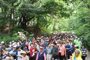 우장산신록축제,국내여행,음식정보