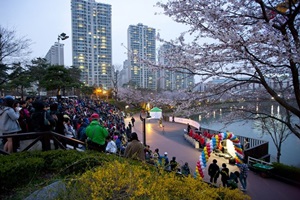 석촌호수 벚꽃축제,서울특별시 송파구,지역축제,축제정보