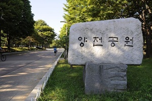 양천구 장애인 한마음 축제,서울특별시 양천구,지역축제,축제정보