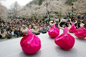 식장산 봄꽃축제,국내여행,음식정보