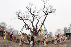 대전 서구 정월대보름제,대전광역시 서구,지역축제,축제정보