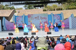 이월드 별빛벚꽃 축제,국내여행,음식정보