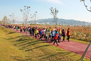 강서낙동강갈대꽃축제,부산광역시 강서구,지역축제,축제정보