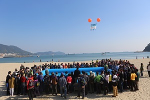 부산고등어축제,부산광역시 서구,지역축제,축제정보