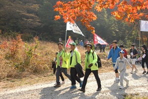 광릉 숲 축제,경기도 남양주시,지역축제,축제정보