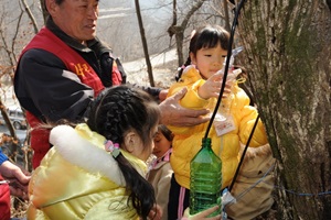 양평단월고로쇠축제,국내여행,음식정보