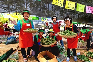 양평용문산 산나물축제,경기도 양평군,지역축제,축제정보