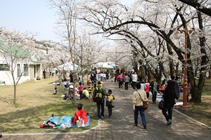 유천문화축제,강원도 동해시,지역축제,축제정보