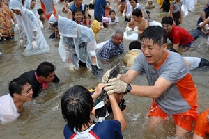 원주섬강축제,강원도 원주시,지역축제,축제정보