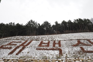 태백산전국등반대회,강원도 태백시,지역축제,축제정보