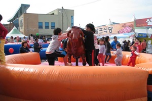 홍천 인삼한우명품축제,강원도 홍천군,지역축제,축제정보