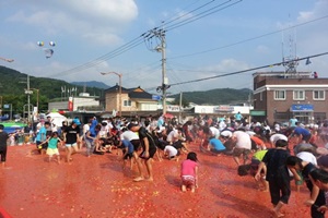 화천토마토축제,국내여행,음식정보