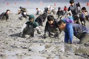 벌교꼬막축제,국내여행,음식정보