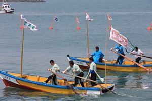 완도장보고수산물축제,전라남도 완도군,지역축제,축제정보