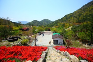 흑석산철쭉대제전,전라남도 해남군,지역축제,축제정보