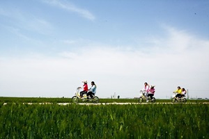 남포들녘보리문화축제,전라북도 김제시,지역축제,축제정보