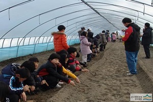 지평선광활햇감자축제,전라북도 김제시,지역축제,축제정보