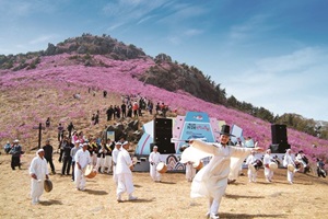 대금산진달래축제,경상남도 거제시,지역축제,축제정보