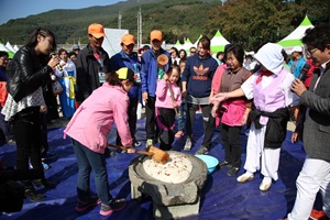 밀양대추축제,경상남도 밀양시,지역축제,축제정보