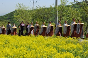 서운암들꽃축제,국내여행,음식정보