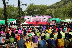 천주산진달래축제,국내여행,음식정보