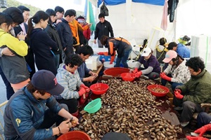 창원진동미더덕축제,경상남도 창원시,지역축제,축제정보