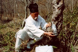 하동고로쇠축제,국내여행,음식정보