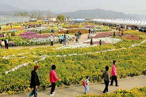 구미국화축제,경상북도 구미시,지역축제,축제정보